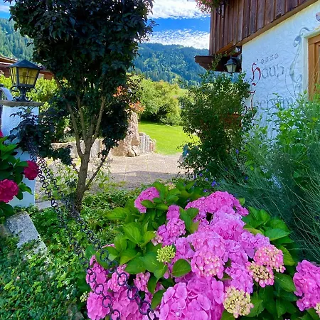 Jochum Apartment Niederau