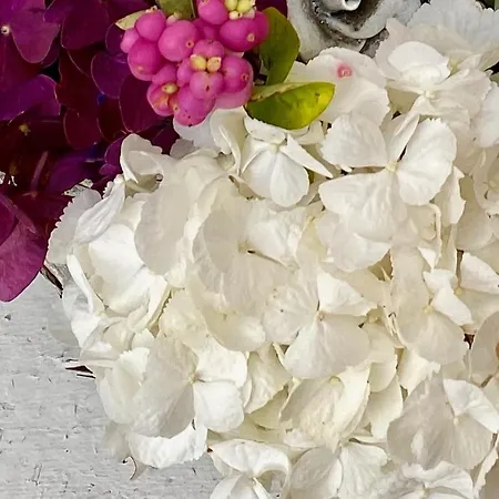 Jochum نيديراو