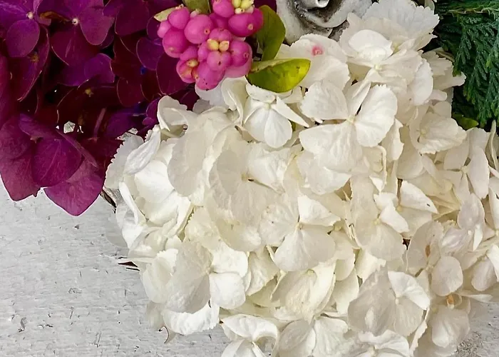 Jochum نيديراو